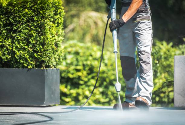 Best Gas Station Cleaning  in Meadow Woods, FL