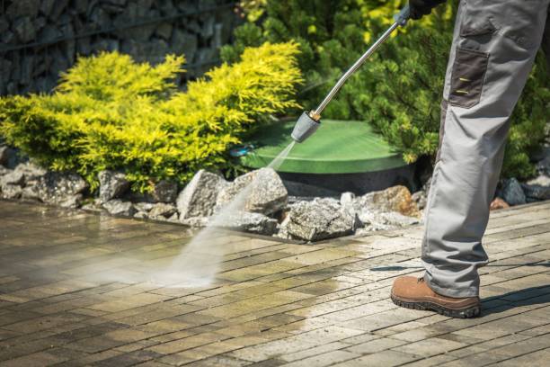 Reliable Meadow Woods, FL Pressure Washing Services Solutions