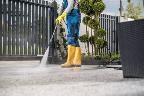 Best Driveway Pressure Washing  in Meadow Woods, FL